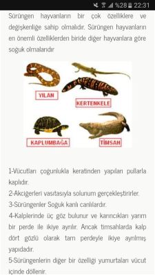  Caecilian - Sürüngen Benzeri Görünümüne Sahip Ama Amfibi Olarak Yaşamı Sürdüren İlginç Bir Yaratık!