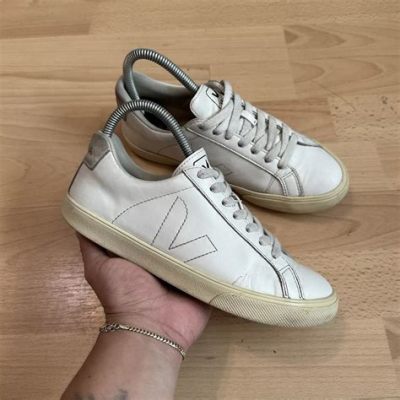 How Long Does Veja Take to Ship? And Why Do Sneakers Sometimes Feel Like They’re Walking to You?