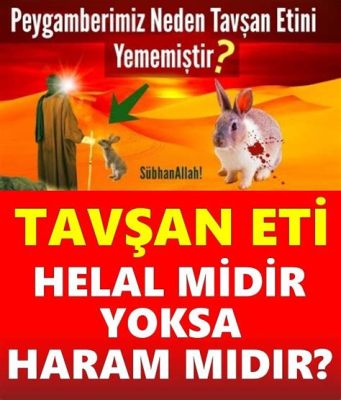  İbis Güzel Tüyleriyle Gökyüzünü Süsleyen Bir Dansçı mıdır, Yoksa Bir Hayatta Kalma Uzmanı mı?