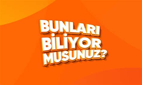  Jayların Göç Eden Güzel Yumurtacıları Olduğunu Biliyor Musunuz?