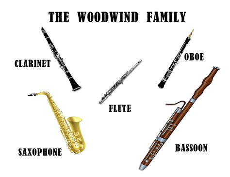 Select all the instruments that use double reeds. Exploring the nuances of double reed instruments and their unique characteristics.