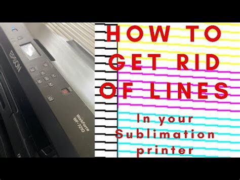 Why is my sublimation printer printing lines: A Journey Through the Maze of Ink and Imagination