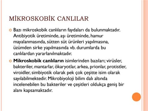  Xenocoelomorpha: Bu Şaşırtıcı Canlılar İçindeki Simbiyotik İlişkilerle Vücudunuzun Dışında Bir Dünya Keşfedin!